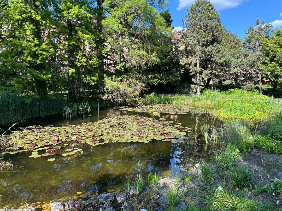 Botanical Garden-萨格勒布必去景点