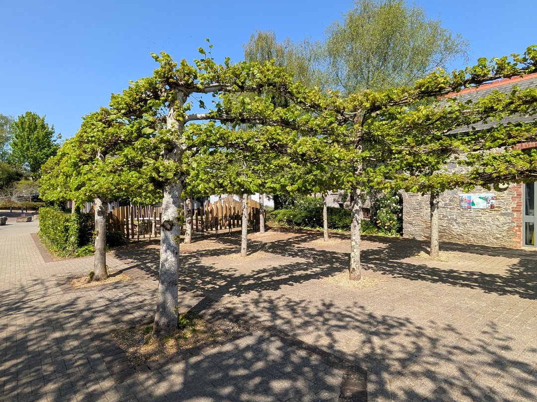 Buckfast Abbey-Buckfastleigh必去景点