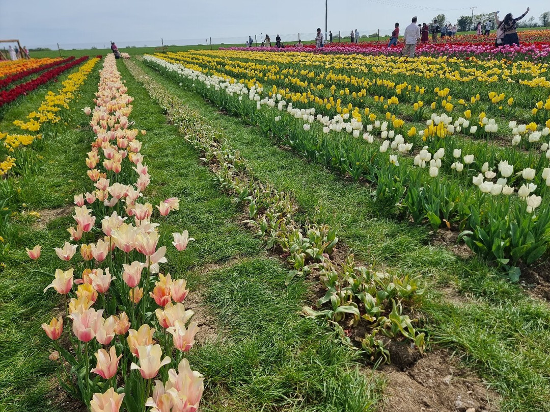 Hatter's Farm-Bishops Stortford必去景点