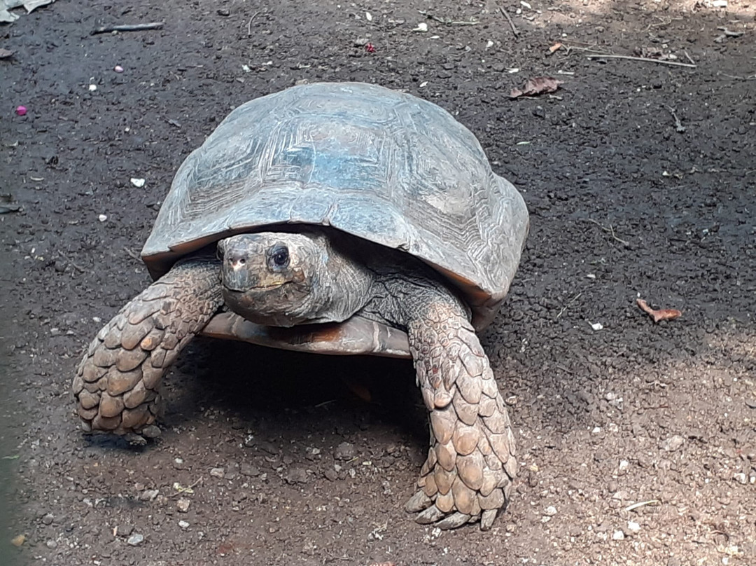 Zoo Leipzig-莱比锡必去景点