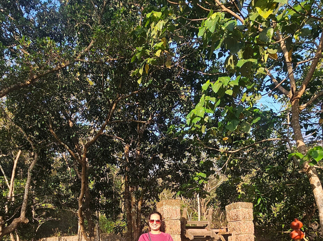 达波利的费恩萨玛利度假村，万豪系列主图