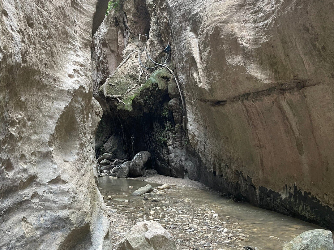 Avakas Gorge-帕福斯必去景点