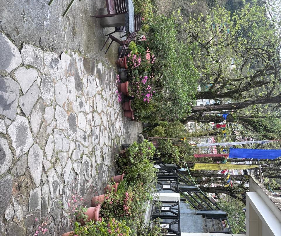 格里芬的小窝酒店主图