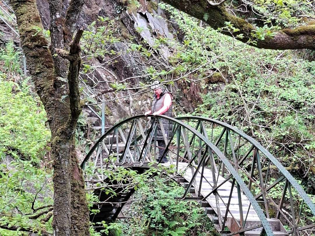 Devil's Bridge Waterfalls-Devil's Bridge (Pontarfynach)必去景点