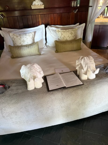 象牙河石旅馆小屋荒野酒店-旅行者