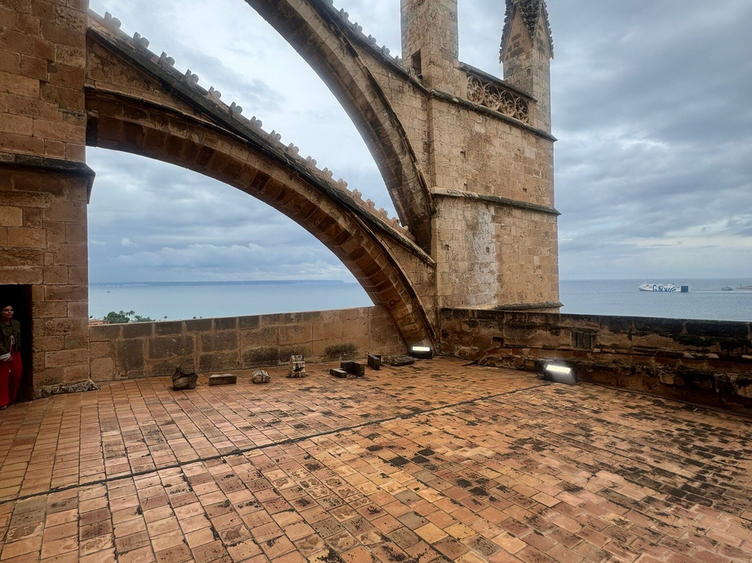 Terrazas de la Catedral de Palma-马洛卡帕尔马必去景点
