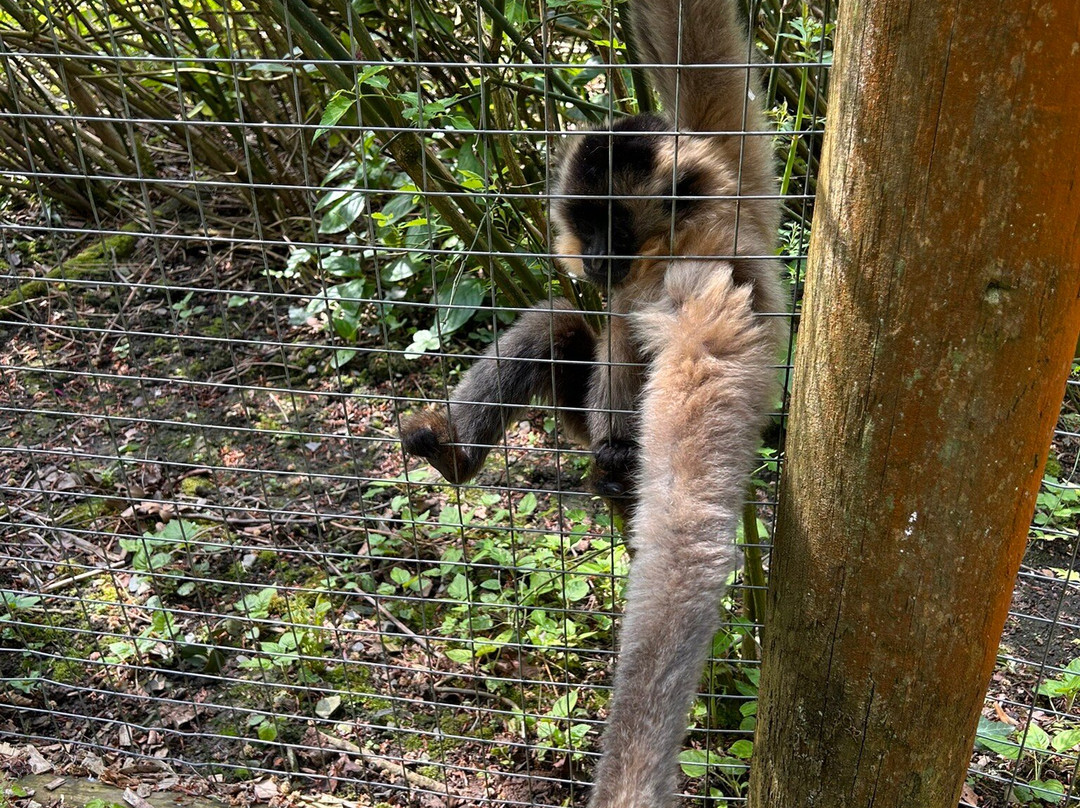 Exmoor Zoo-巴恩斯特珀尔必去景点