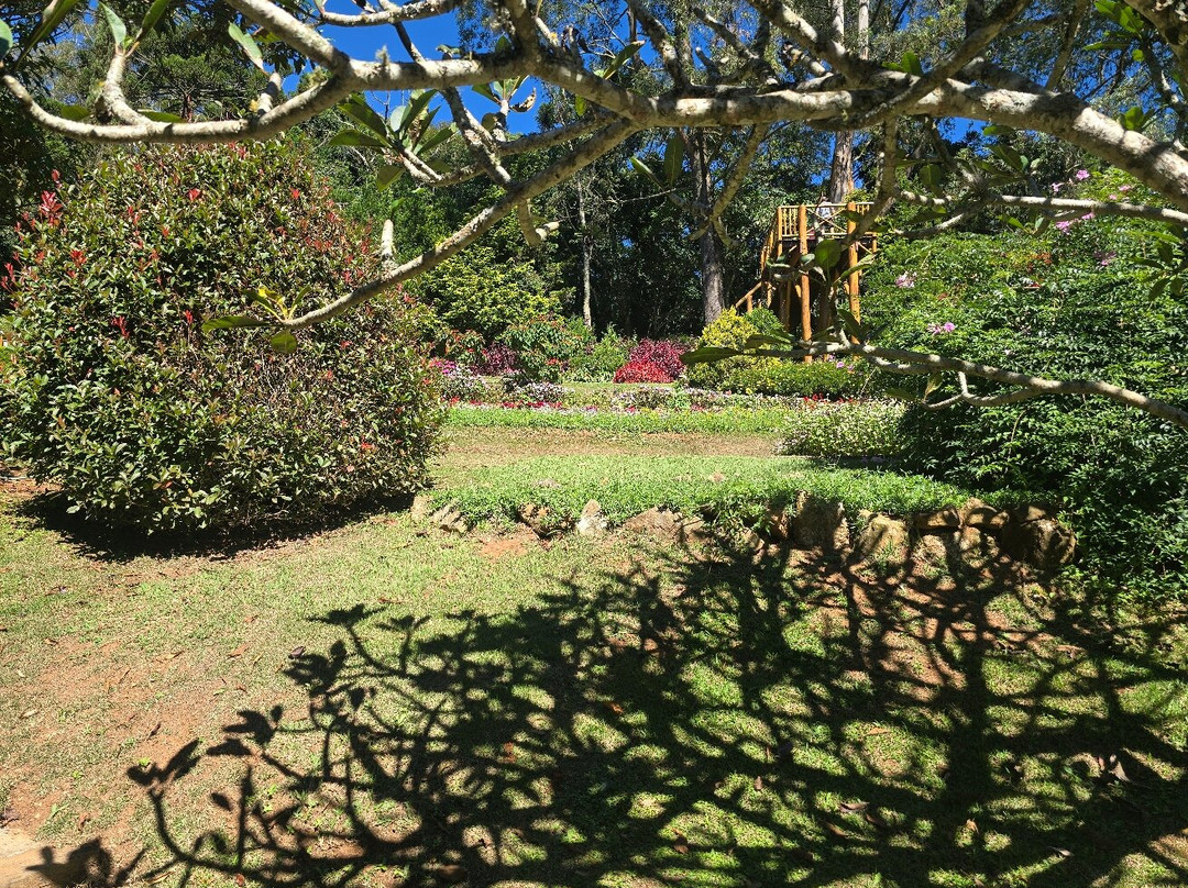 Jardim dos Pinhais Ecco Parque-圣安东尼奥杜皮尼亚尔必去景点