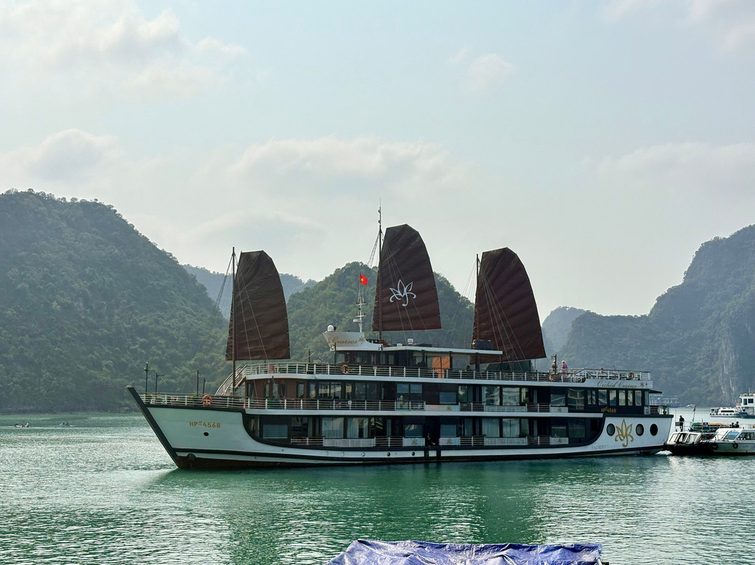 Ha Long Bay Lux Cruises-下龙湾必去景点