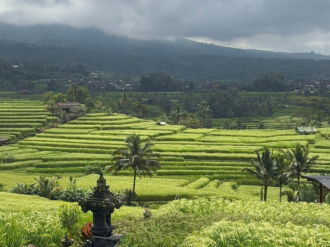 Bali Private Day Tour-Tanah Lot必去景点