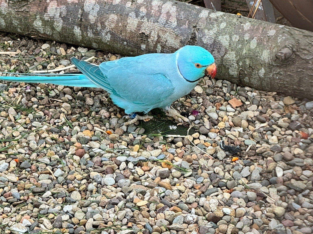 Filey Zoo-Filey必去景点