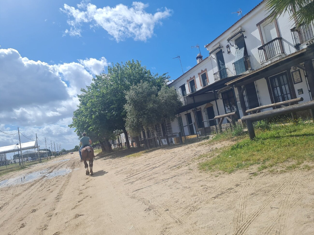 Hostal Santa Habitaciones Aldea del Rocío主图