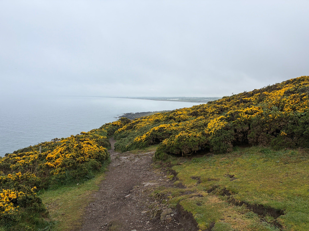 Clogherhead Headland Walk-Clogherhead必去景点