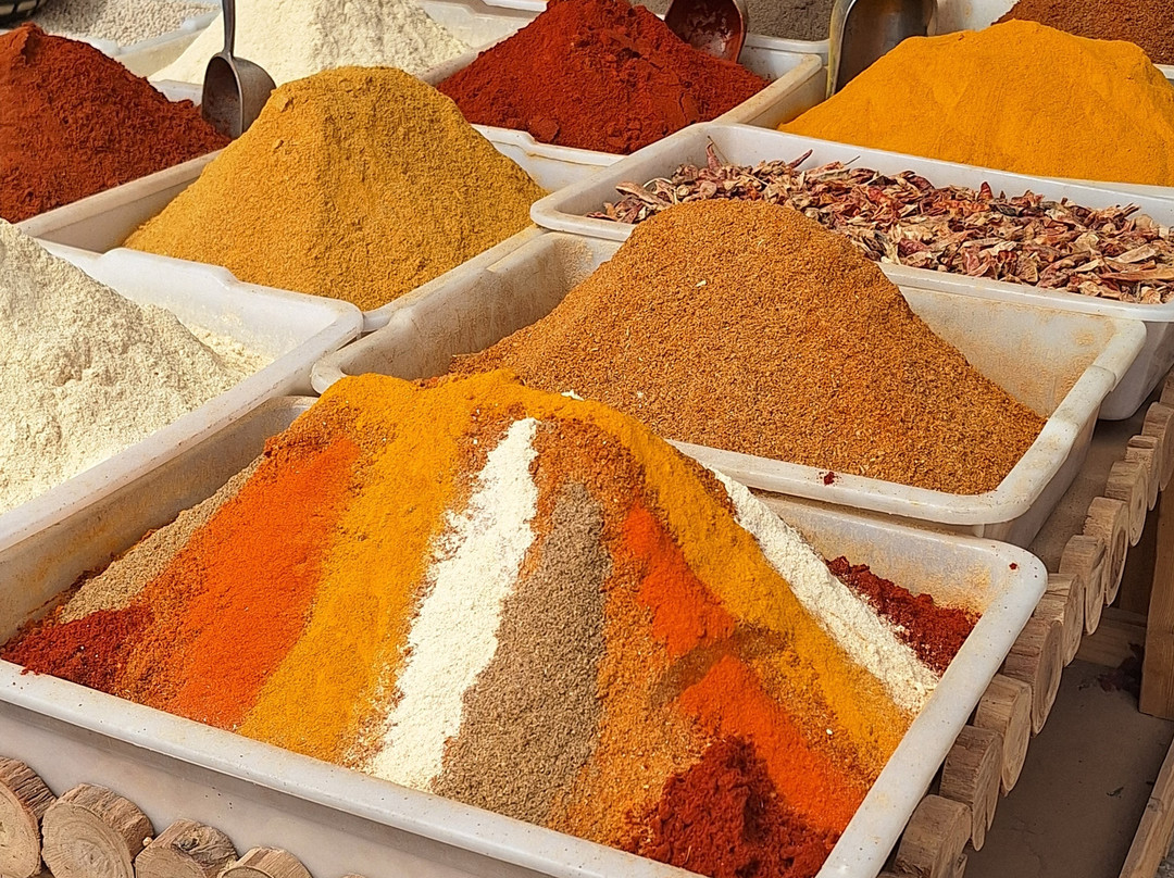 Tours in Marrakech-马拉喀什必去景点