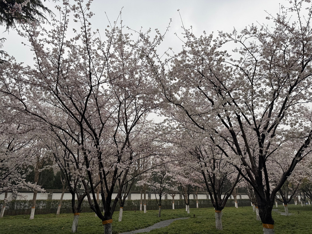 荐福寺小雁塔-西安市必去景点
