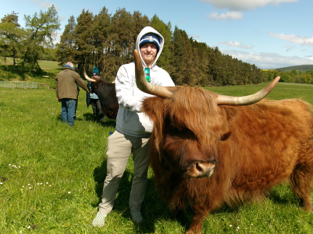 Newton Farm Holidays & Tours主图