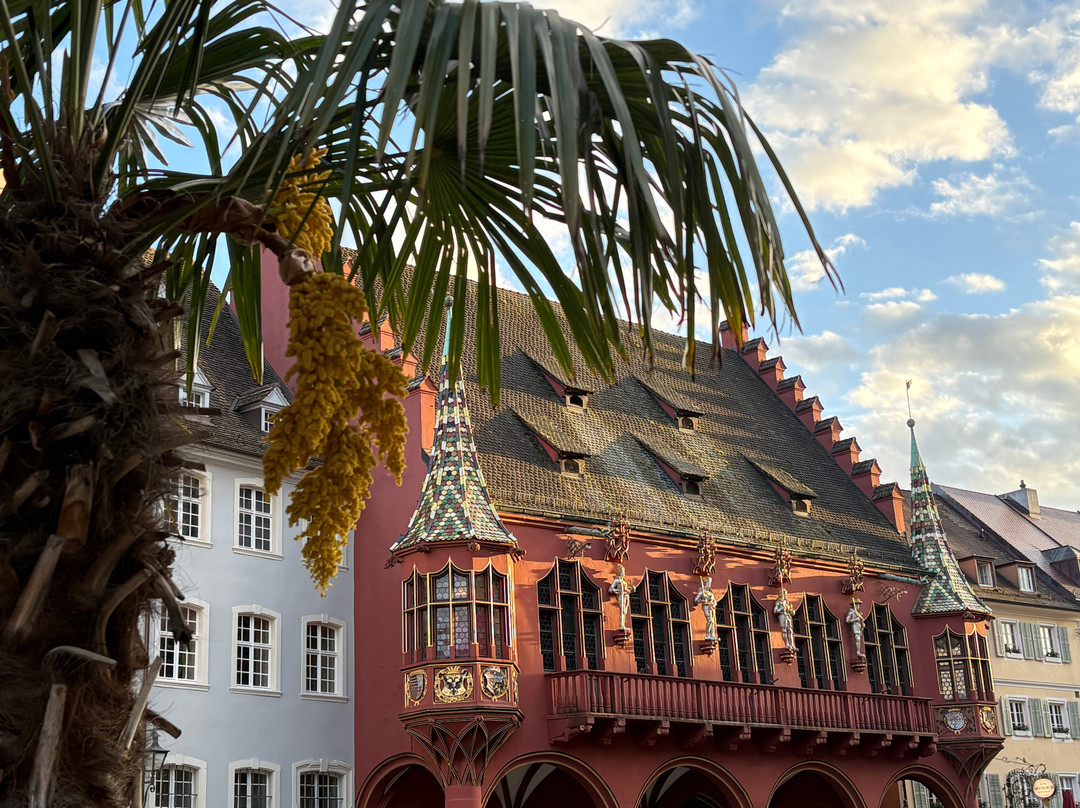 Münsterplatz-佛莱堡必去景点