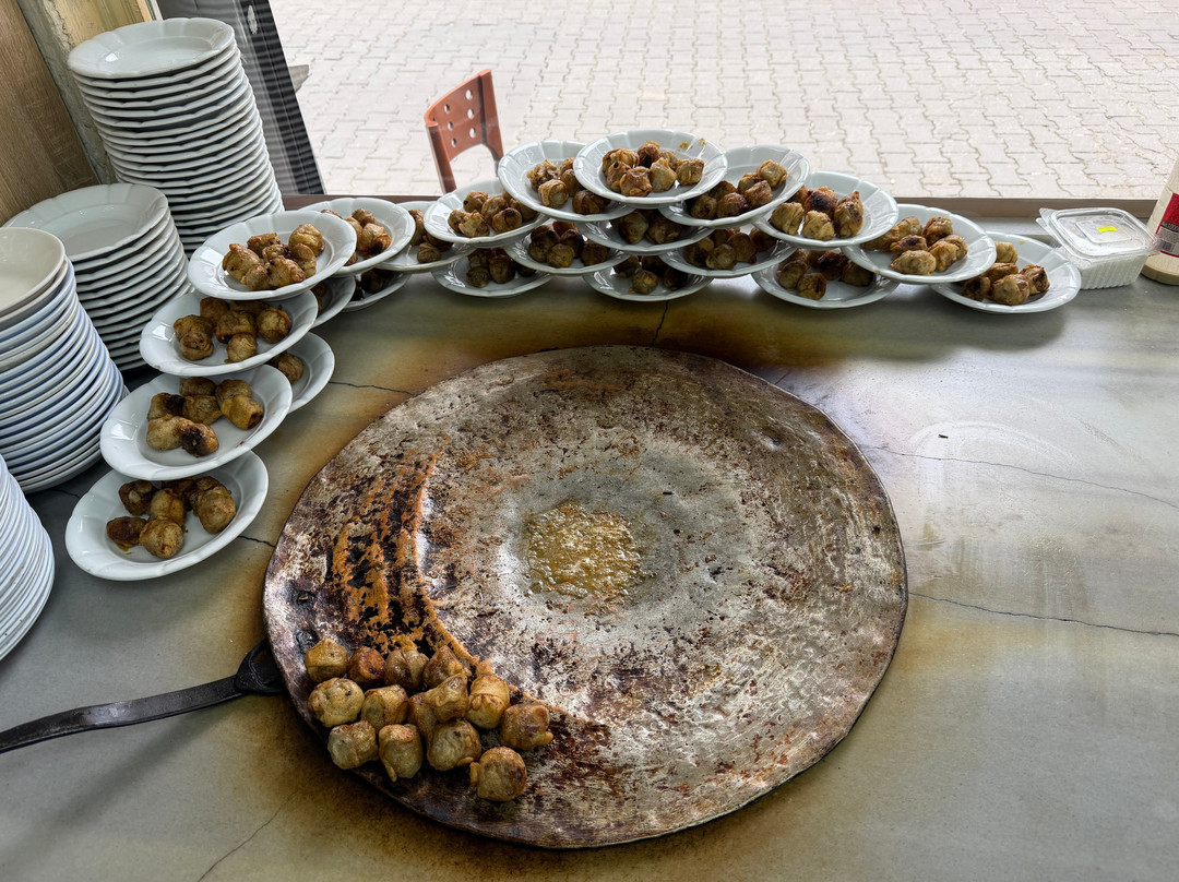 Kapamacı Süleyman USTA