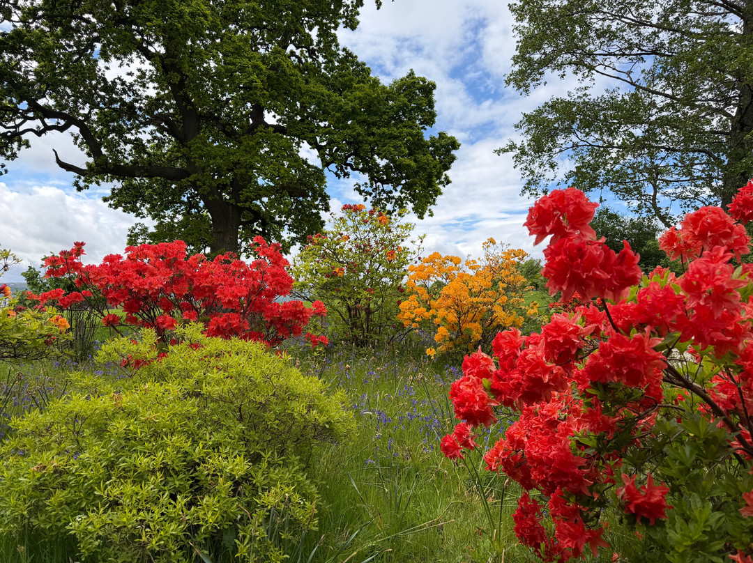 Geilston Garden-Dumbarton必去景点