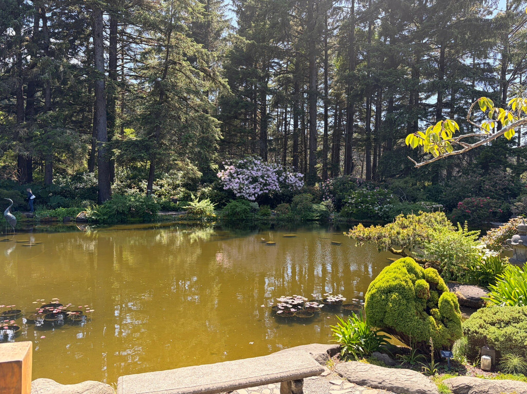 Shore Acres State Park-库斯贝必去景点