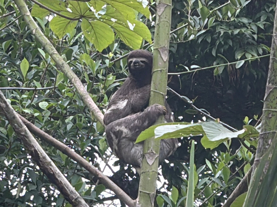 Lupuna Jungle Tours主图