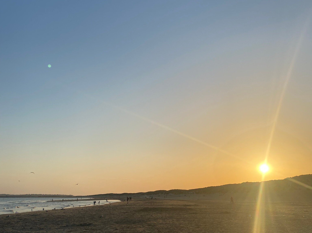 Camber Sands-Camber必去景点