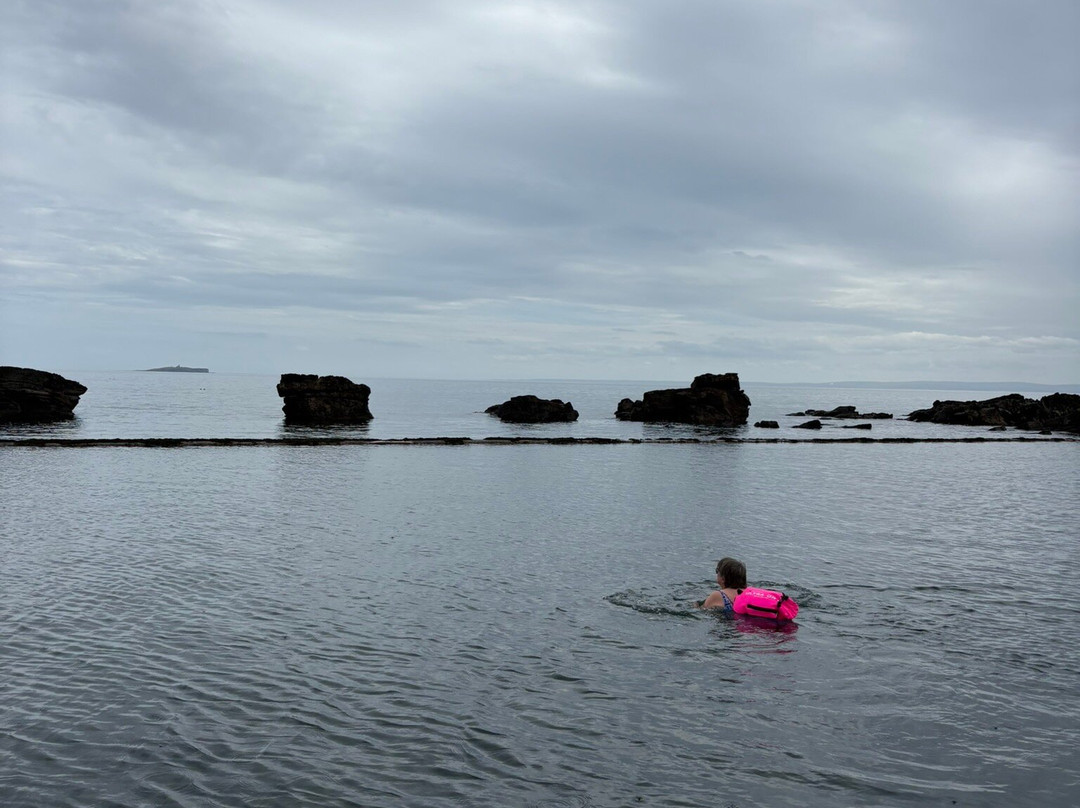 Cellardkye Tidal Pool-Cellardyke必去景点