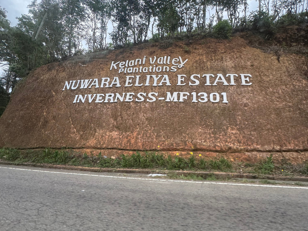 Rejal Tours Sri Lanka-Dankotuwa必去景点