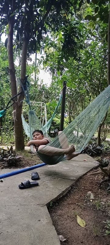 庄安度假屋-旅行者