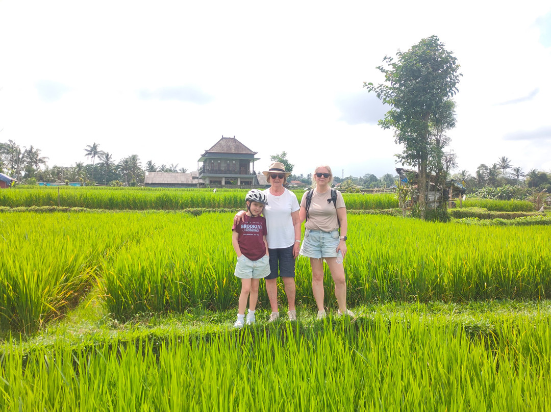 Ubud Cycling Bike-乌布必去景点