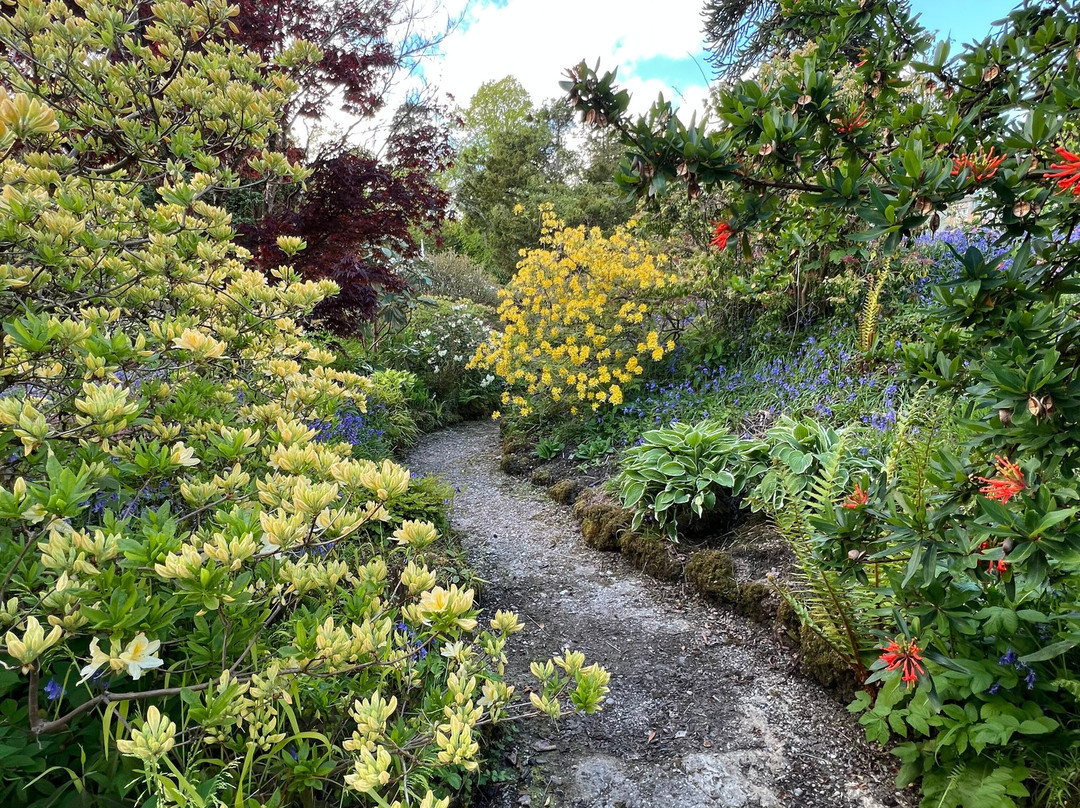 Ascog Hall Fernery and Garden-Ascog必去景点