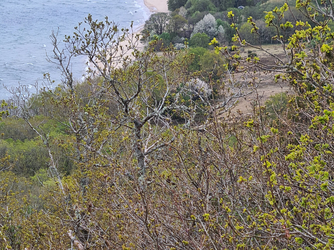 Stenshuvud Nationalpark-Kivik必去景点