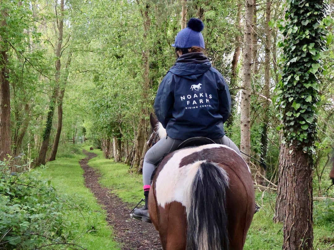 Noakes Farm Riding Centre-Bromyard必去景点