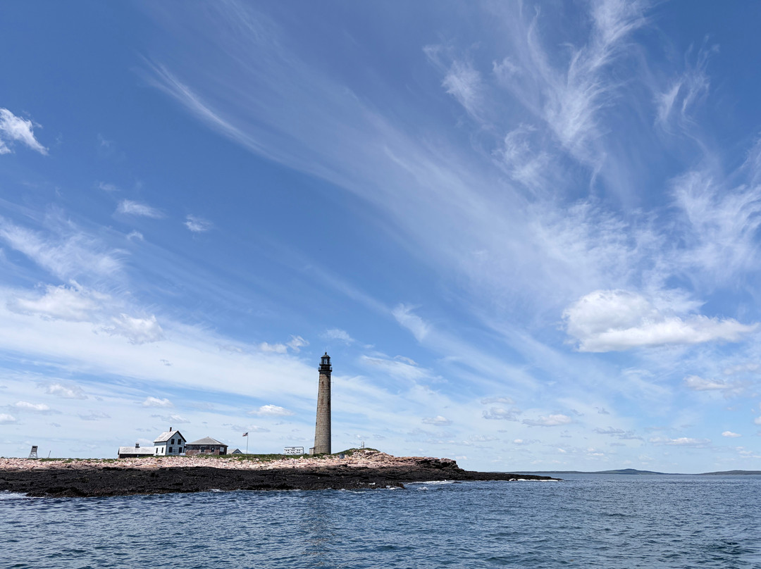 Robertson Sea Tours & Adventures-Milbridge必去景点