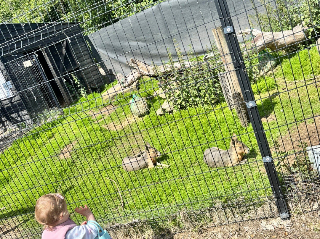 Ashlyns Wildlife Park-North Weald必去景点