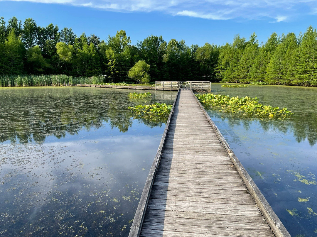 Howell Wetlands