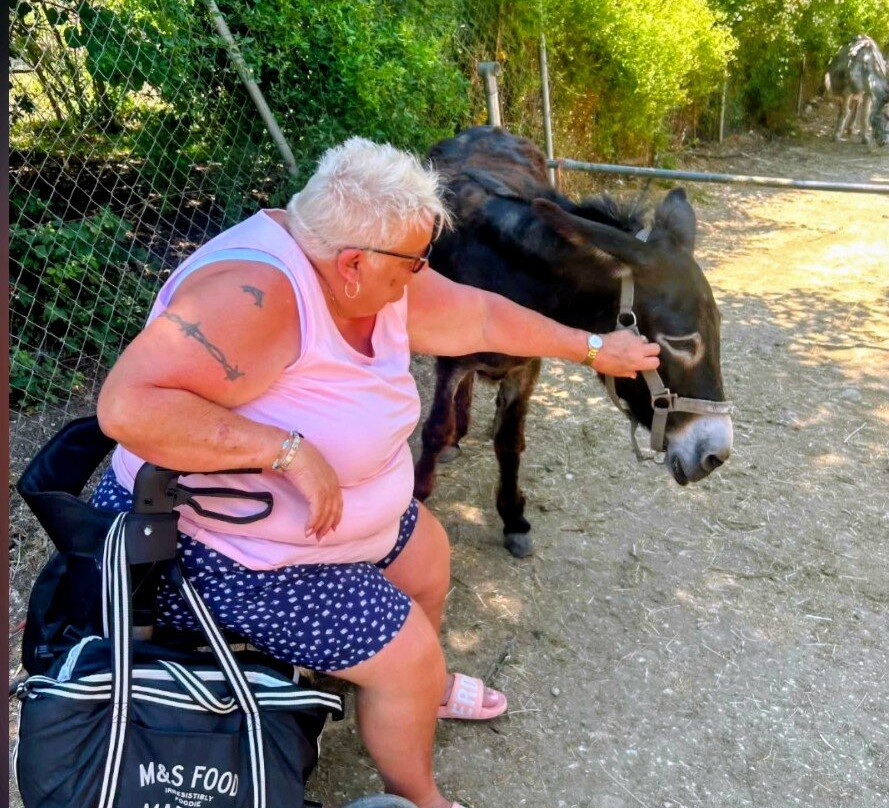 Corfu Donkey Rescue-Paleokastritsa必去景点
