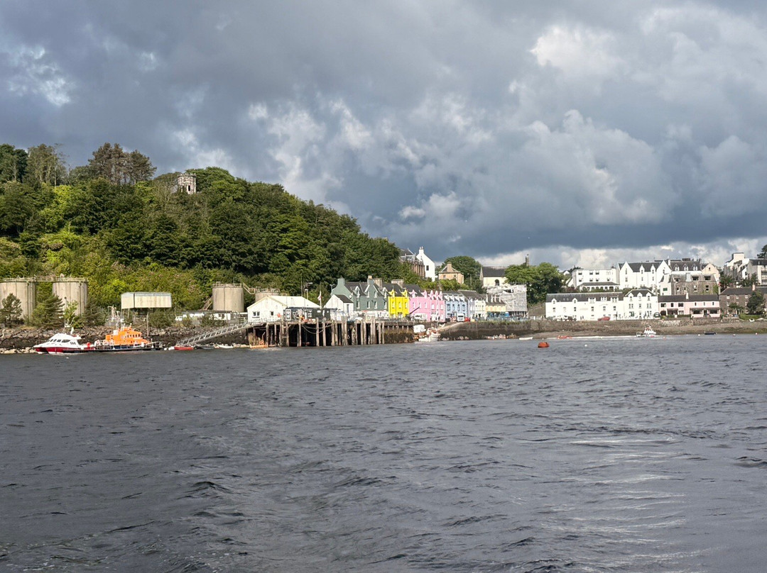 Stardust Boat Trips Portree-Portree必去景点