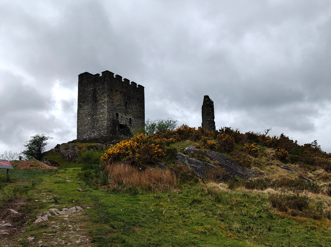 Dolwyddelan Castle-Dolwyddelan必去景点
