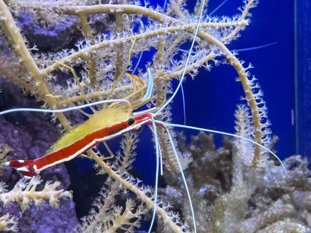 Acquario Cala Gonone-Dorgali必去景点