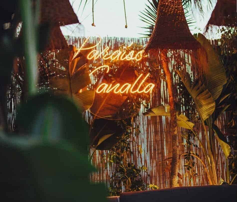 Baloo Ibiza | Jungle Restaurant & Club