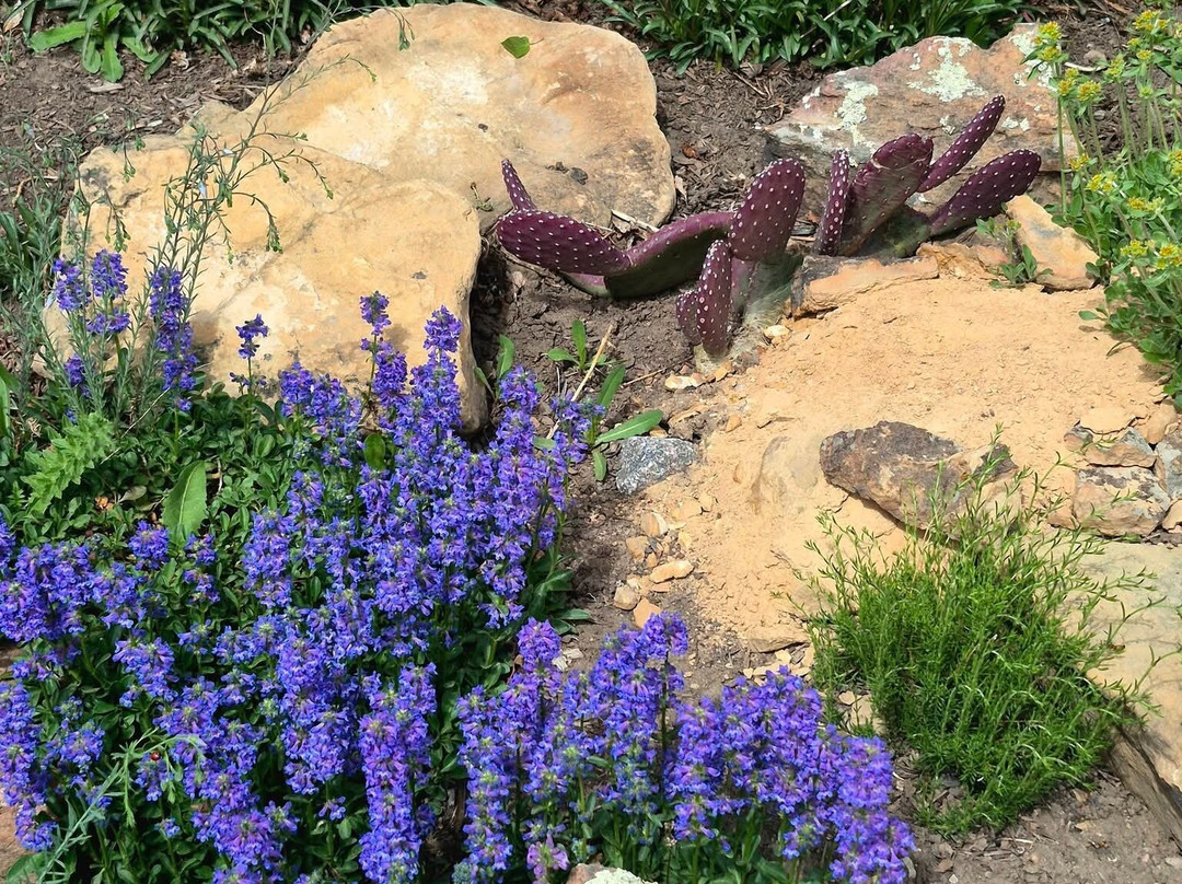 Betty Ford Alpine Gardens-韦尔必去景点