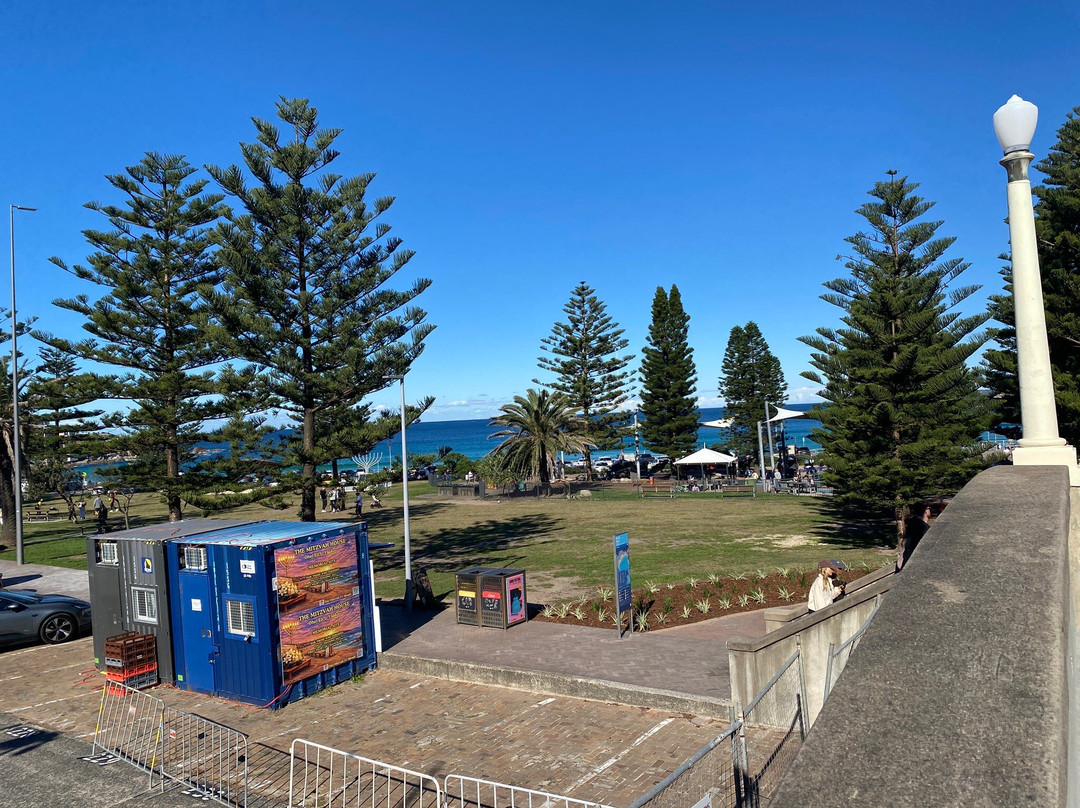 Bondi Park