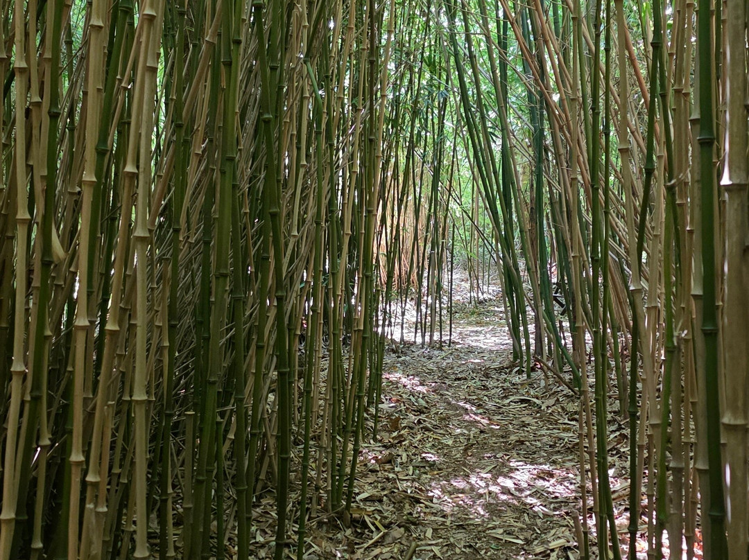 Jungle Garden-Eu必去景点