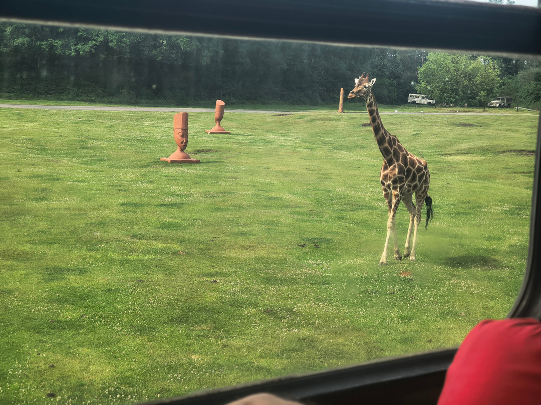 Serengeti-park Hodenhagen-Hodenhagen必去景点