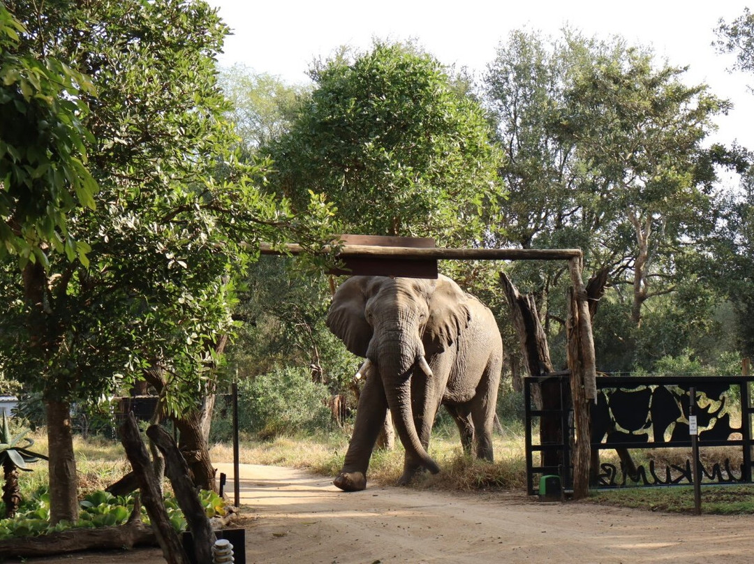 Umkumbe Safari Lodge主图