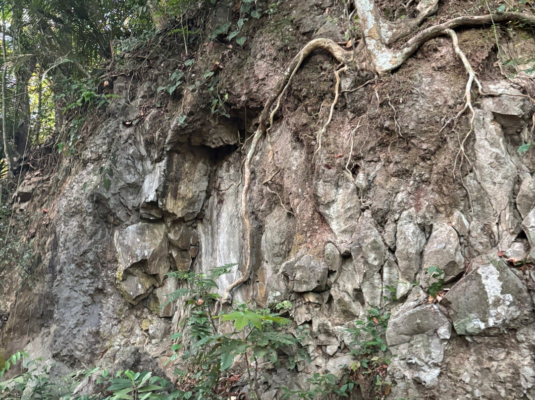 Mount Makiling-Los Banos必去景点