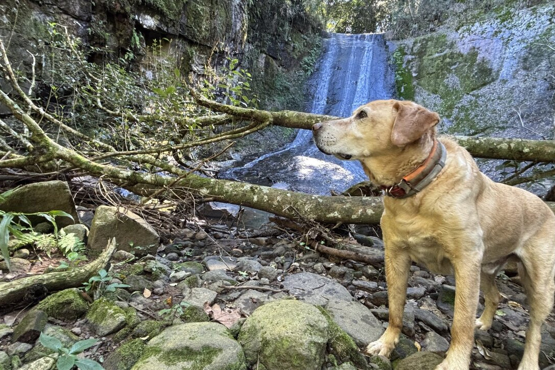 Cascata do Tobogã-Carlos Barbosa必去景点