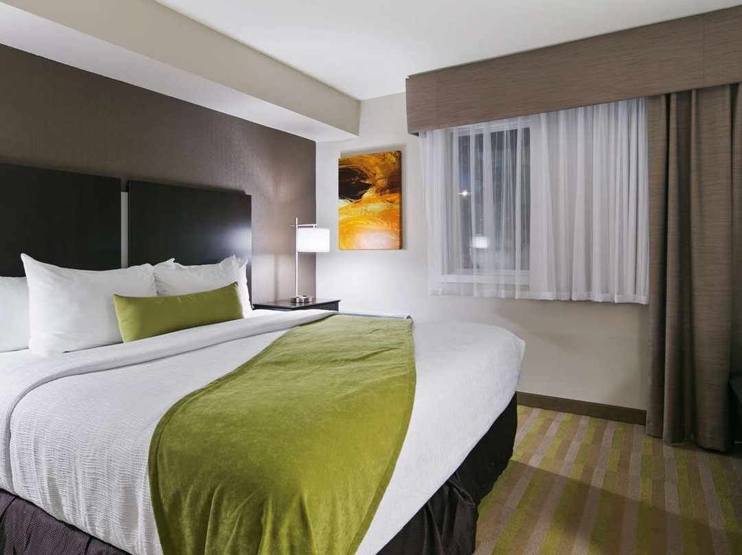 Mayville酒店住宿-Best Western Harvest Inn & Suites
