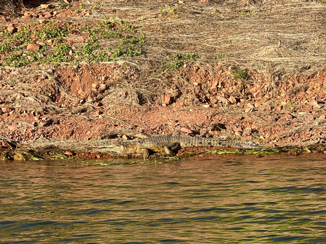 Lake Argyle Tours "Kimberley Durack"-库努纳拉必去景点